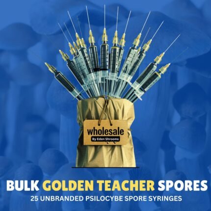 Bulk Golden Teacher Spores (25 Syringes)