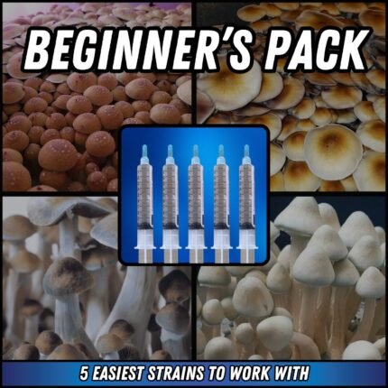 Mycology Beginner 5-Pack (Spore Syringes)
